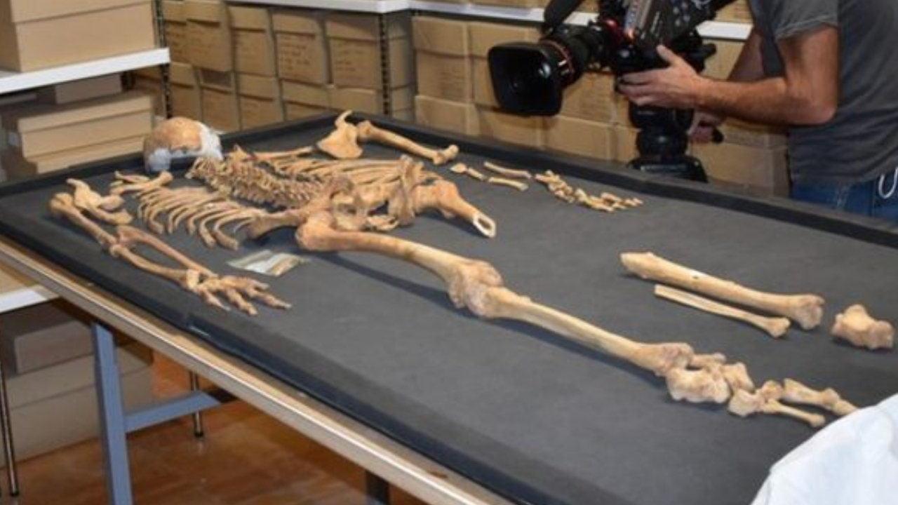 Pesquisadores descobrem esqueletos vikings da mesma família