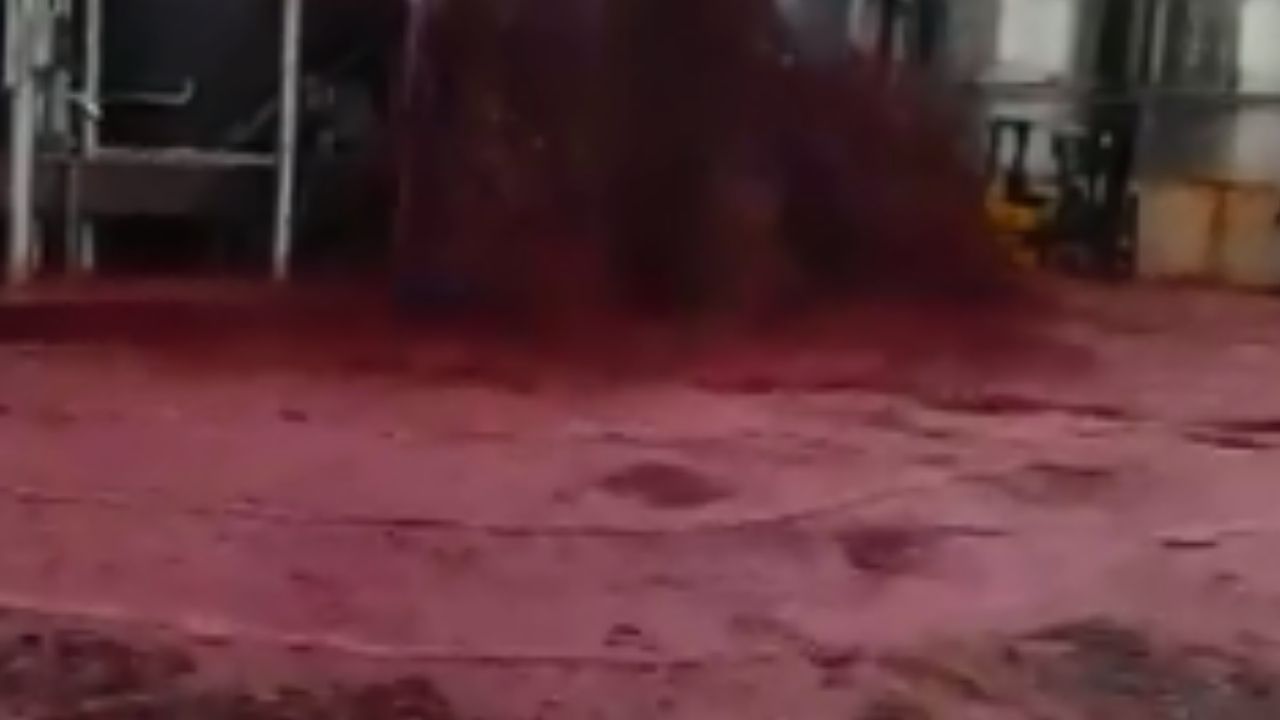 Espanha: Tanque de vinho explode e mais de 50 mil litros são derramados