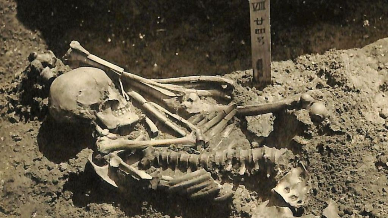 Esqueleto revela ataque de tubarão ocorrido há 3 mil anos no Japão