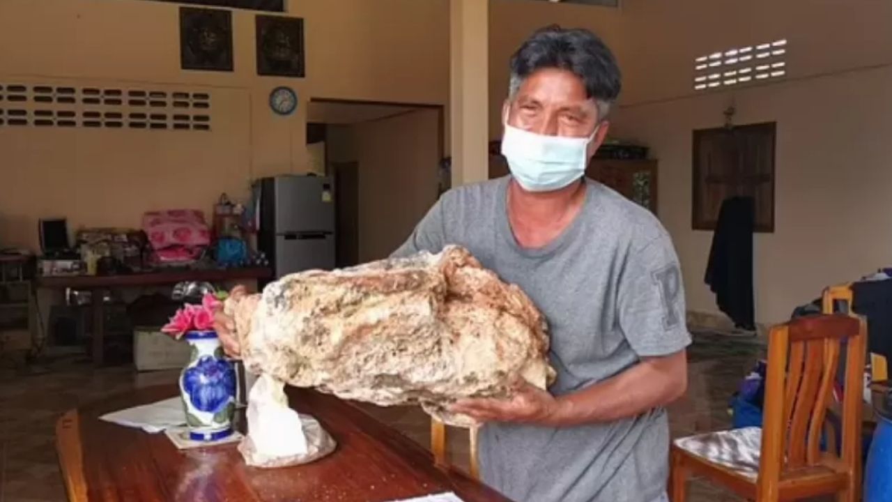 Tesouro regurgitado: Pescador encontra vômito de baleia que pode lhe render milhões