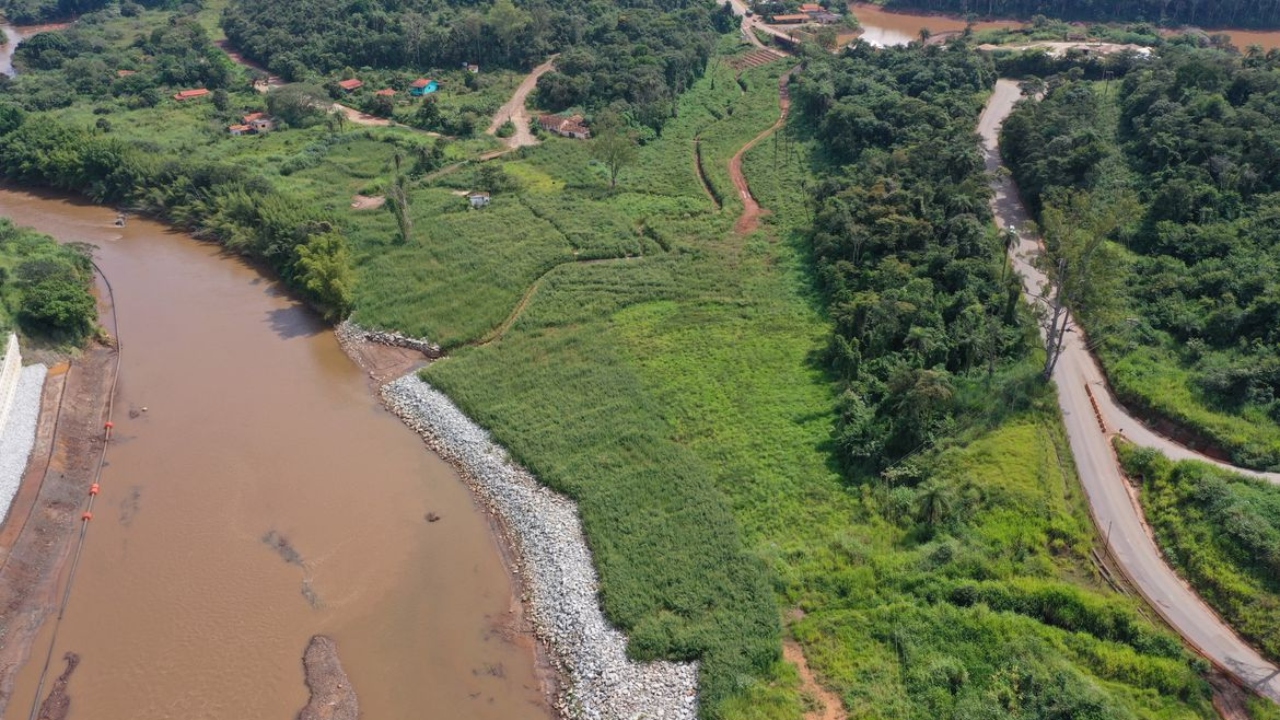 Animais silvestres estão retornando à região de Brumadinho