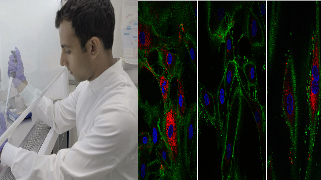 Cientistas rejuvenescem pele de mulher em 30 anos, afirma estudo