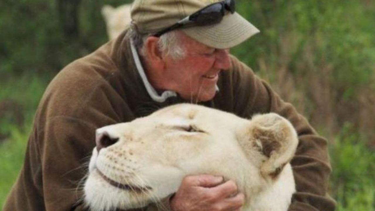 Ambientalista morre após ser atacado por leoa que ele mesmo resgatou