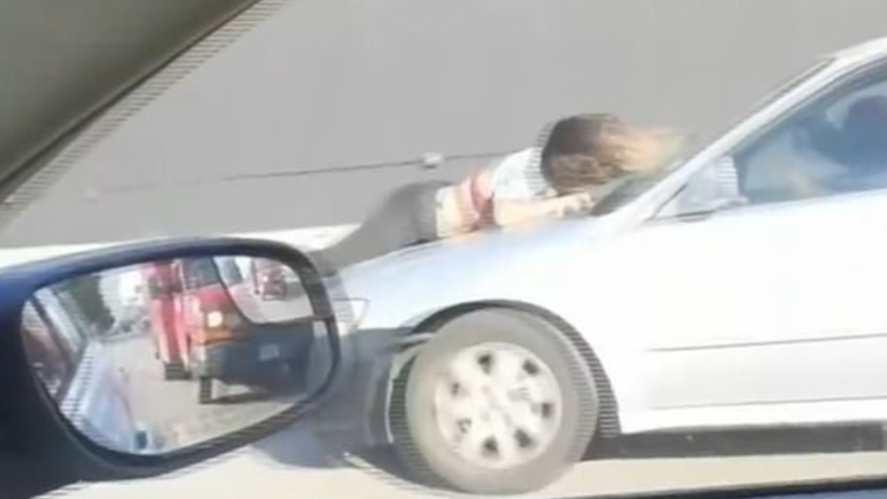Jovem persegue casal de bandidos que roubou buldogue avaliado em 52,5 mil reais nos EUA