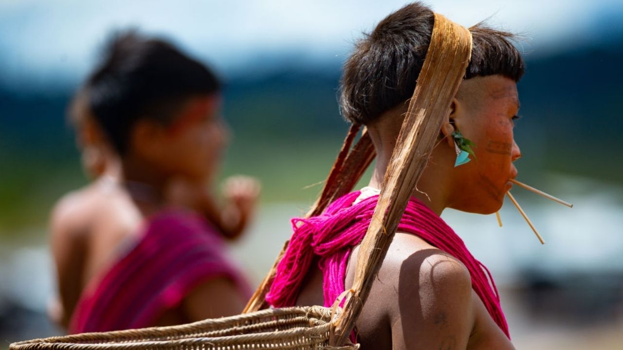 Apuração de ações de combate ao garimpo ilegal em terra Yanomami é aprovada