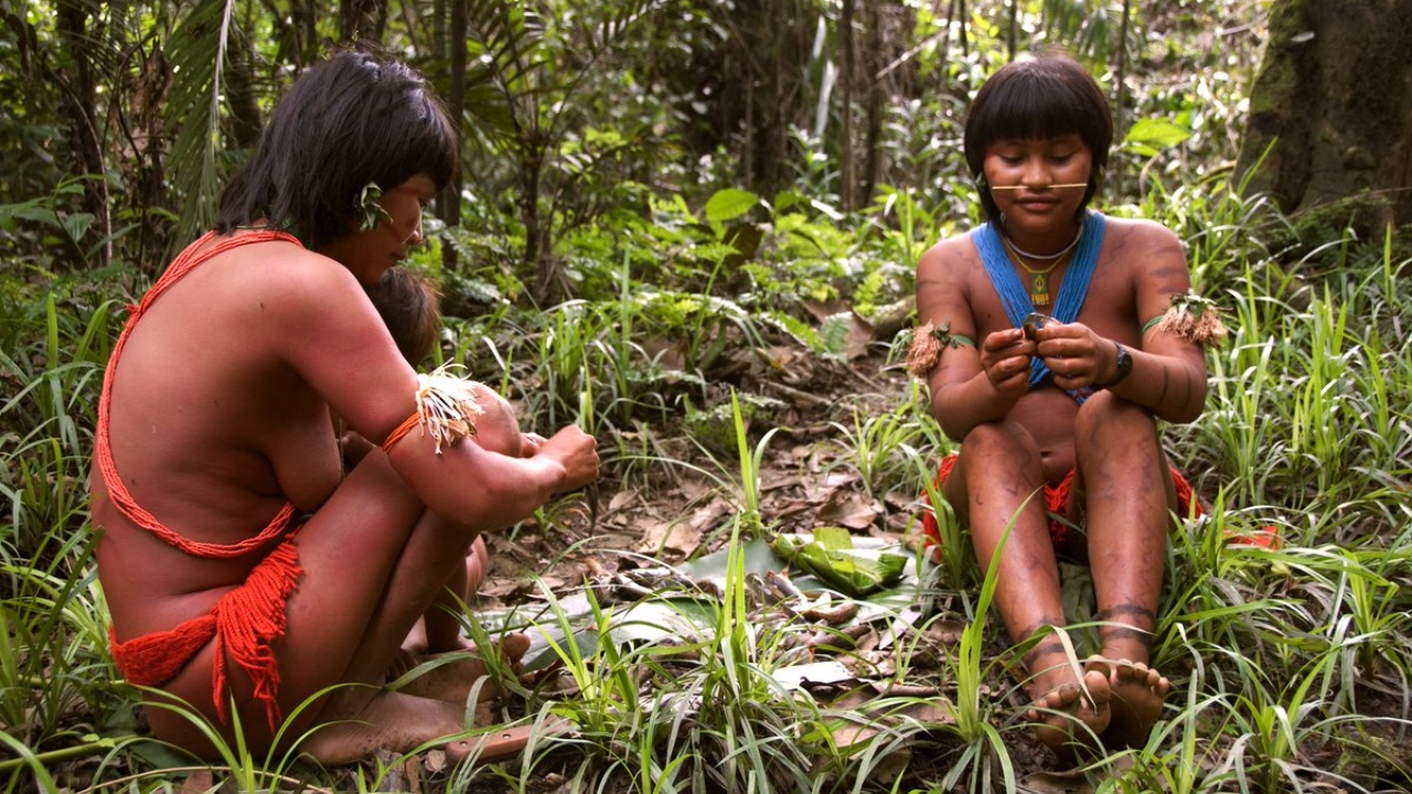 Governo apura denúncia de que garimpeiros engravidaram adolescentes Yanomami