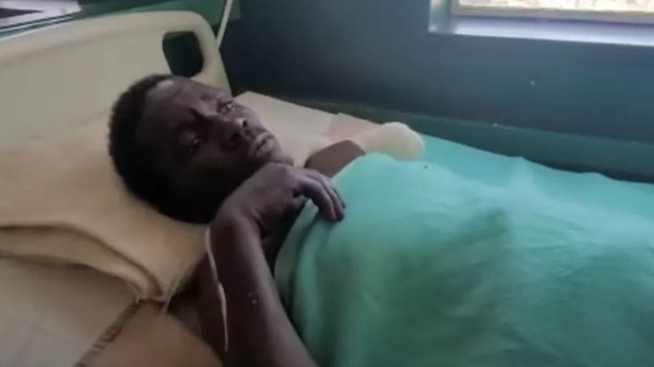Homem é atacado por crocodilo no Zimbábue após fugir de elefante