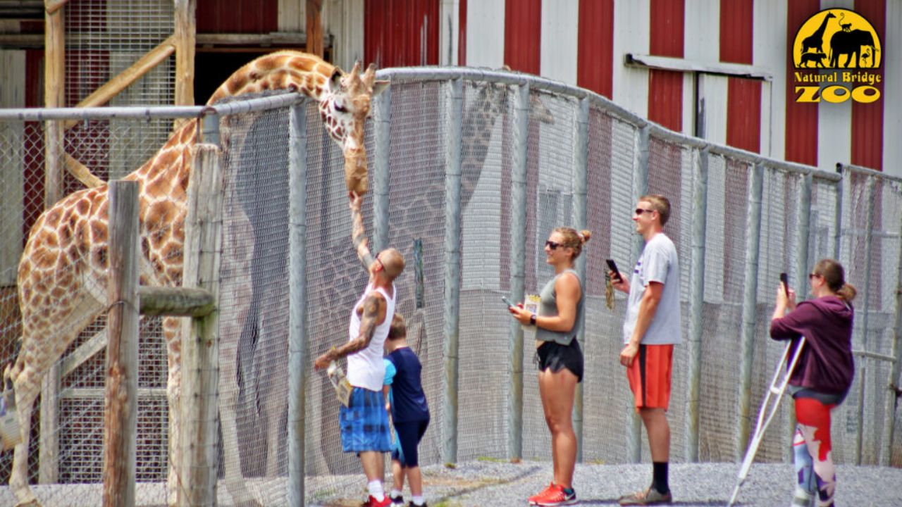 Crueldade: Dezenas de animais encontrados mortos em zoológico dos EUA