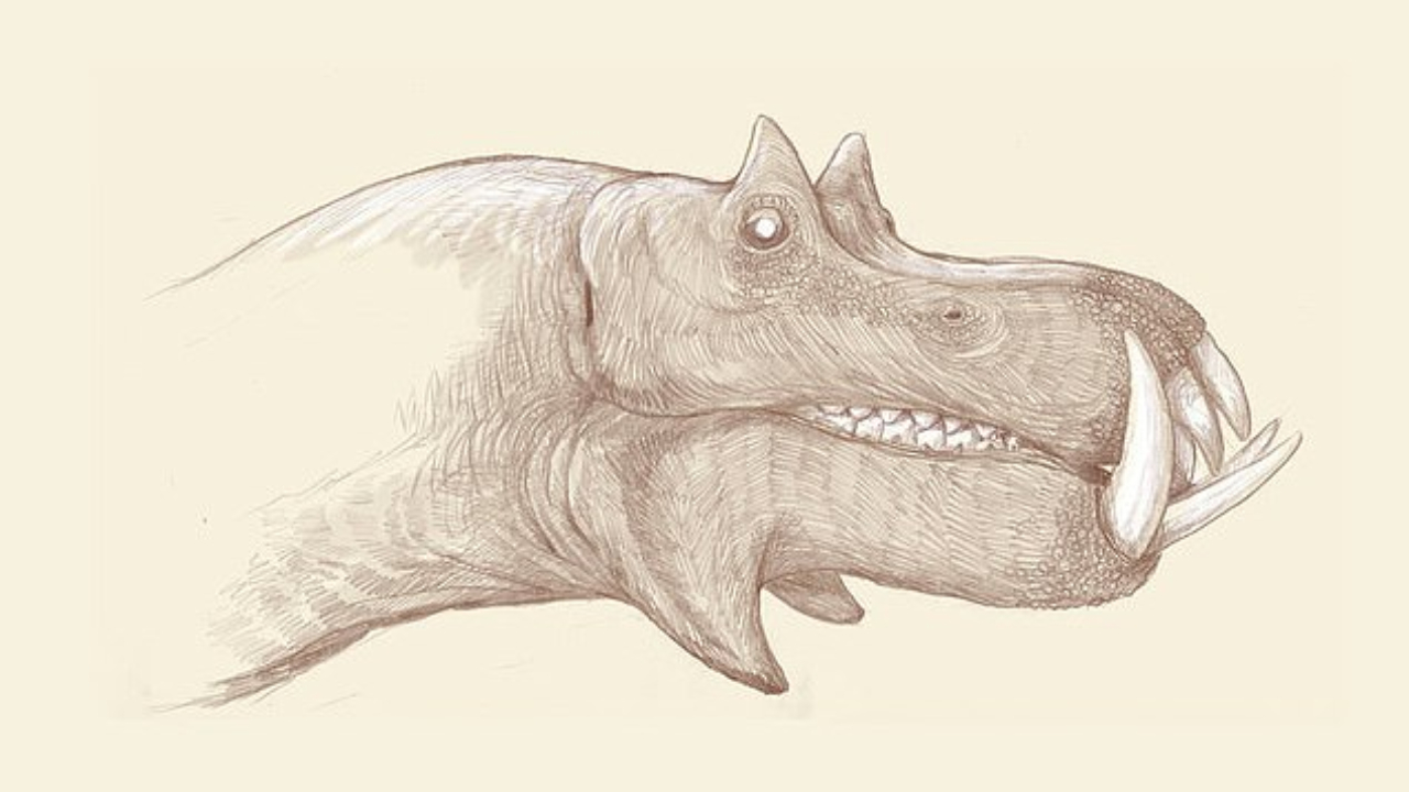 Seguindo a representação dos dinossauros, paleontólogo esboça como seriam os seres modernos