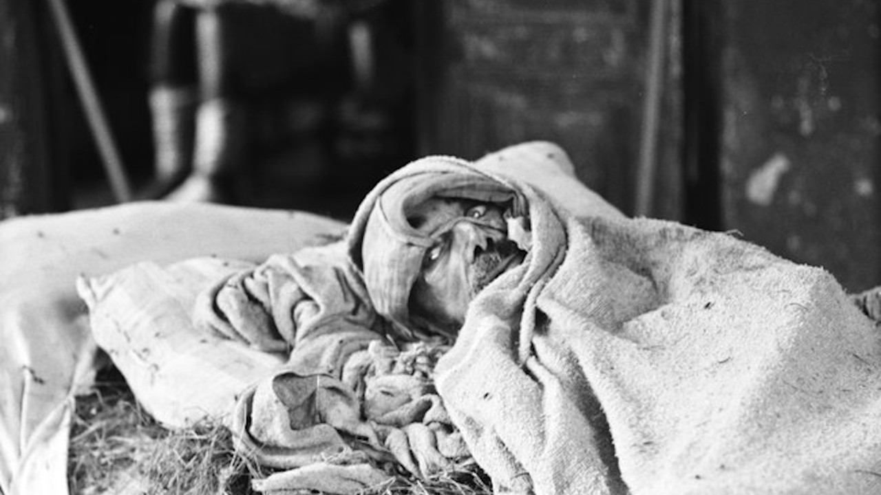 Hospital Colônia de Barbacena: Os horrores do Holocausto brasileiro