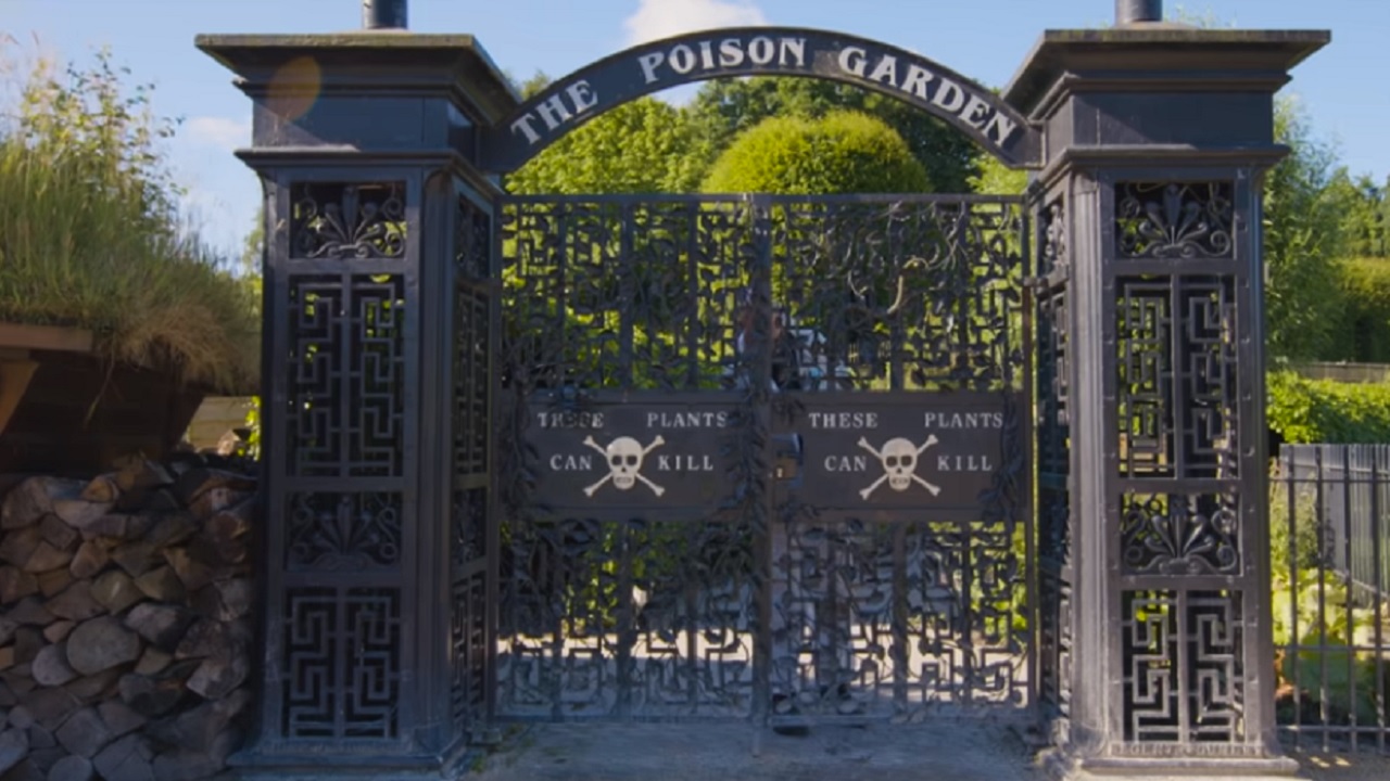 Não pise na grama: o centenário jardim turístico inglês onde as plantas podem matar