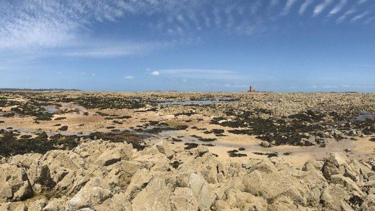 Sítio arqueológico subaquático revelará informações inéditas sobre a Era do Gelo