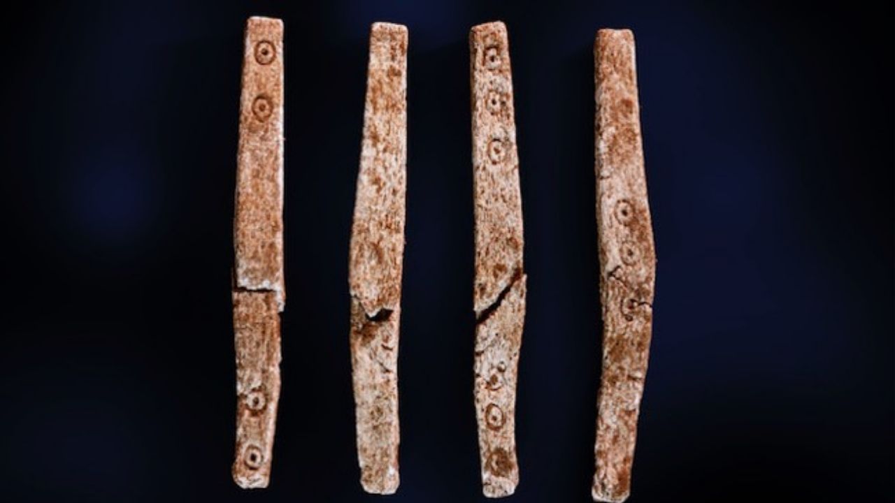 Jogo de tabuleiro de quase 2 mil anos é descoberto em cemitério da Noruega