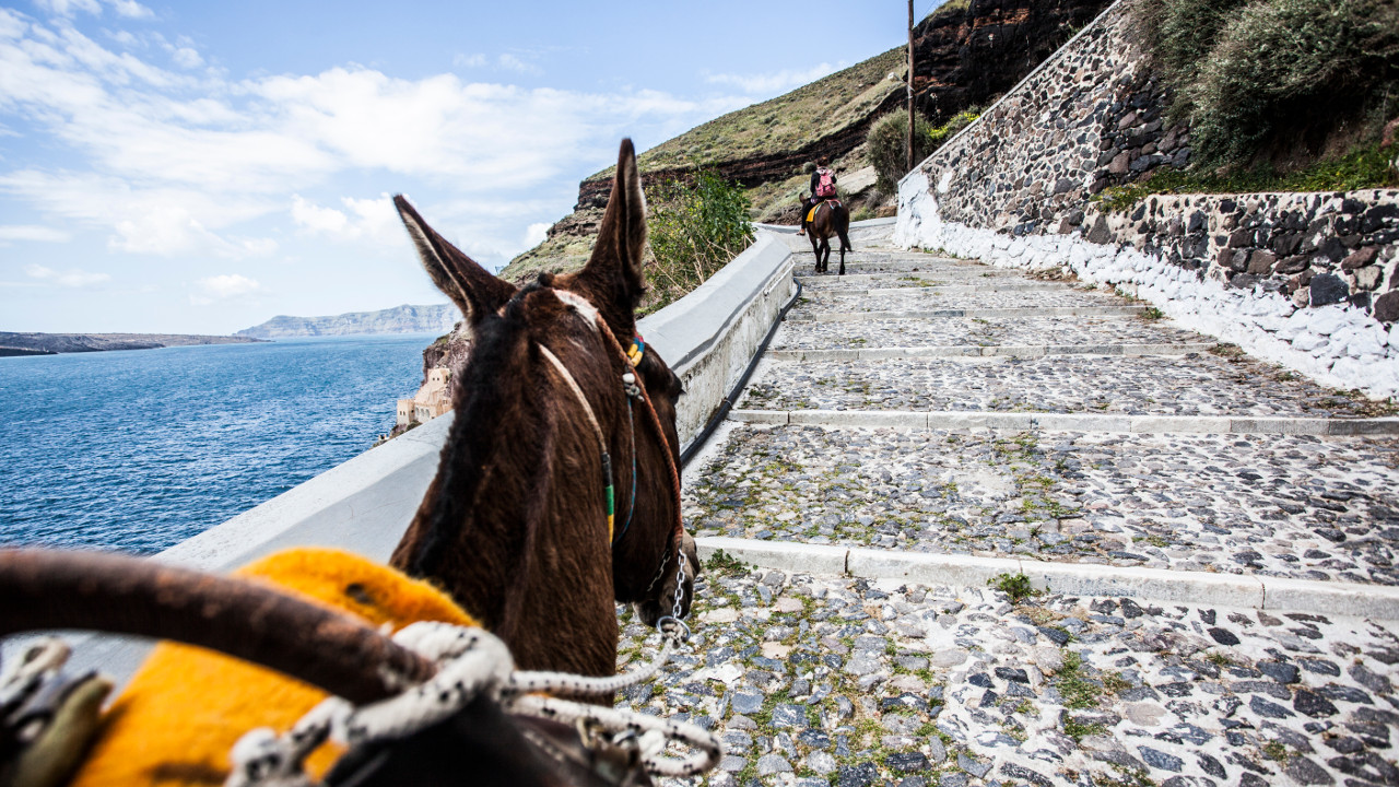 A origem do termo: Com os burros n’água