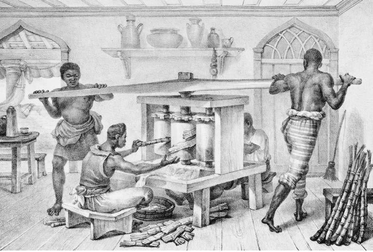 500 anos da cachaça no Brasil