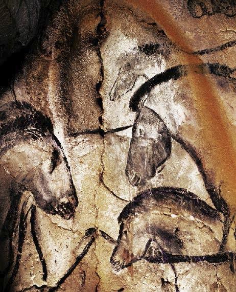 Notícias – Caverna de Chauvet ocupada duas vezes