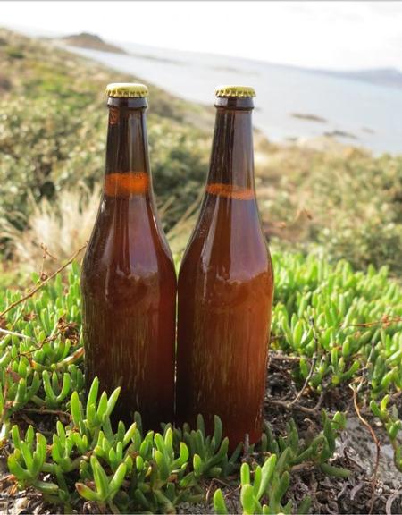 Cerveja de 220 anos é recriada por cientistas