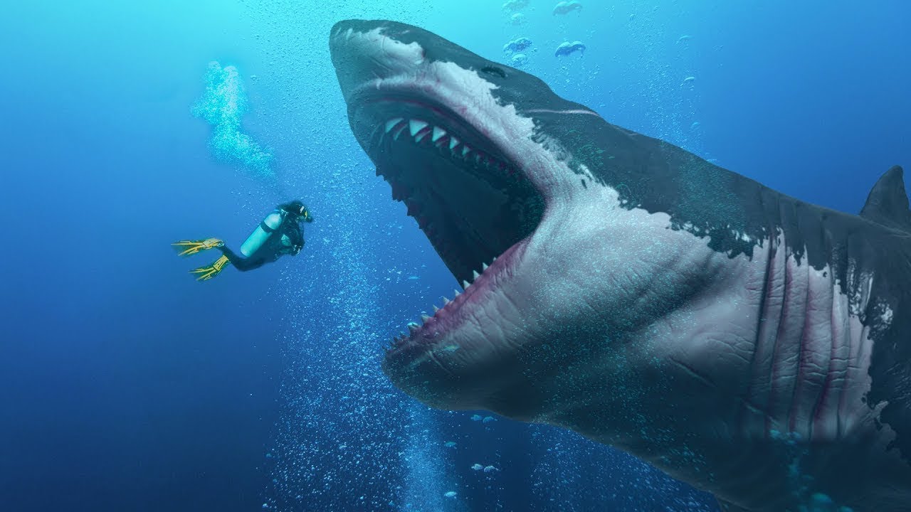 Do Megalodon ao tatu gigante: 5 animais gigantes e assustadores do passado