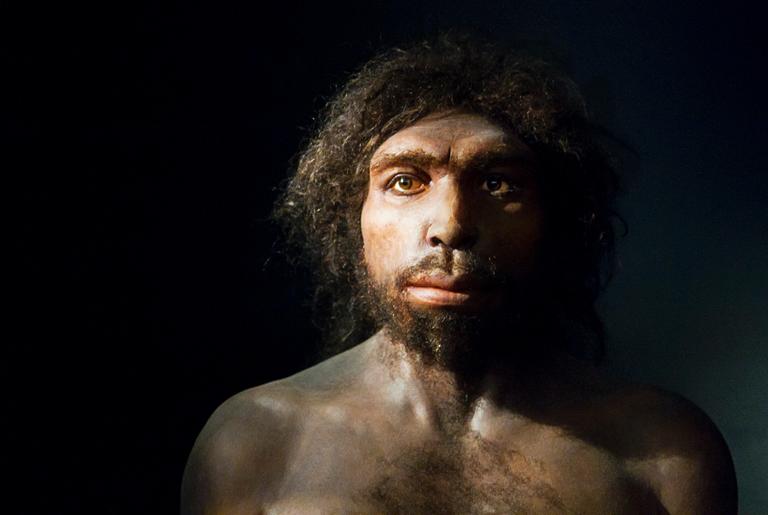 Há um milhão de anos, hominídeos adotaram medidas inovadoras para se adaptar a mudanças climáticas