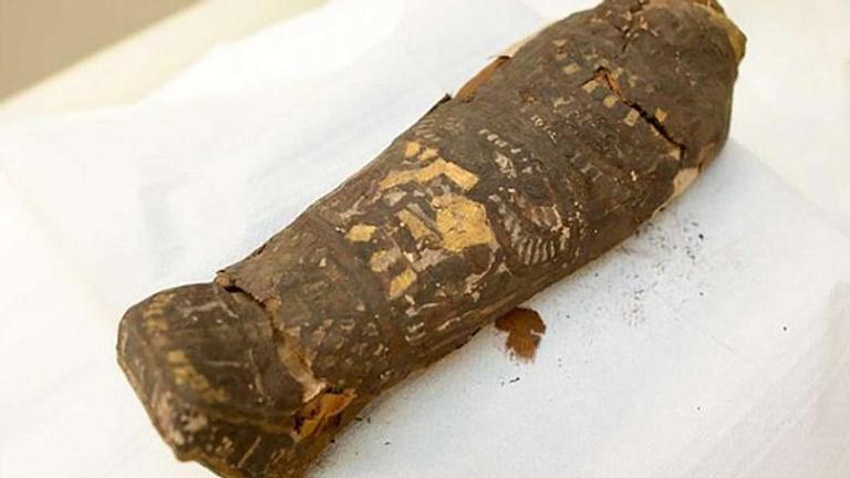 Múmia egípcia de “falcão” era na verdade um feto humano
