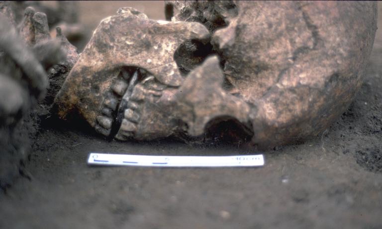 1700 anos atrás, um homem foi enterrado com pedra no lugar da língua
