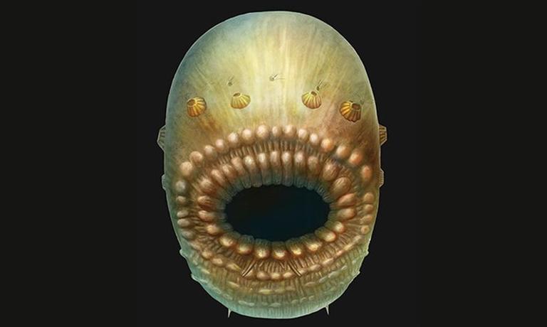 Este é o mais antigo ancestral humano conhecido