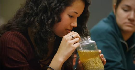 Bebo porque é líquido: 5 mil anos atrás, cerveja era mingau
