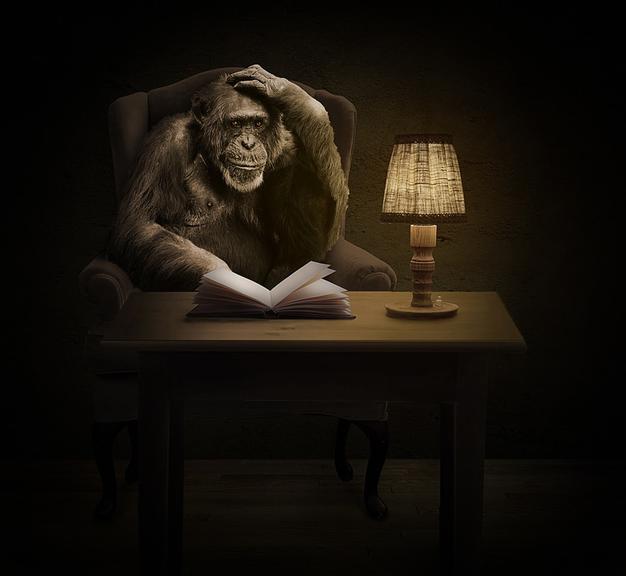 Quando a União Soviética tentou criar o ‘chimpanzomem’