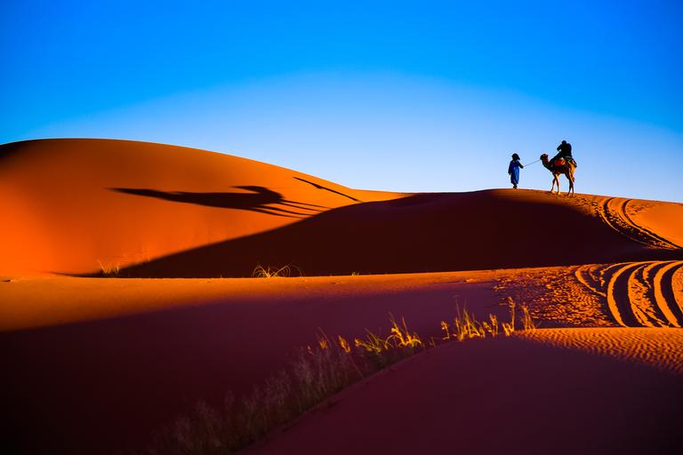 Atividade humana pode ter criado o Deserto do Saara