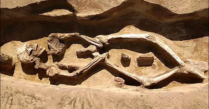 Esqueleto ‘dançarino’ intriga arqueólogos