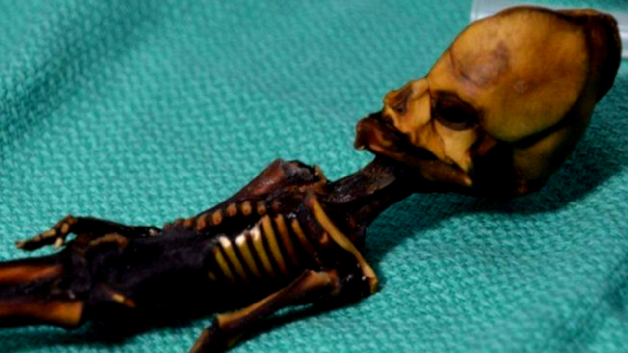 A triste história por trás da múmia alien do Chile