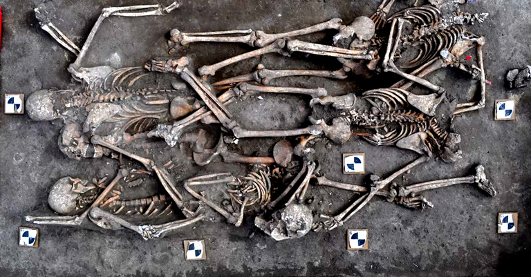 Arqueólogos encontram valas de vítimas das Guerras Napoleônicas