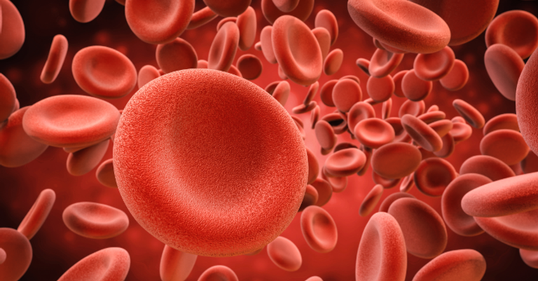 Primeira transfusão de sangue aconteceu neste dia, em 1667