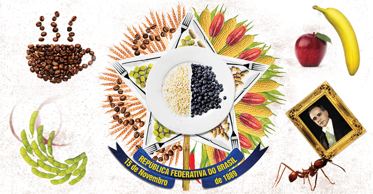A saga da agricultura no Brasil
