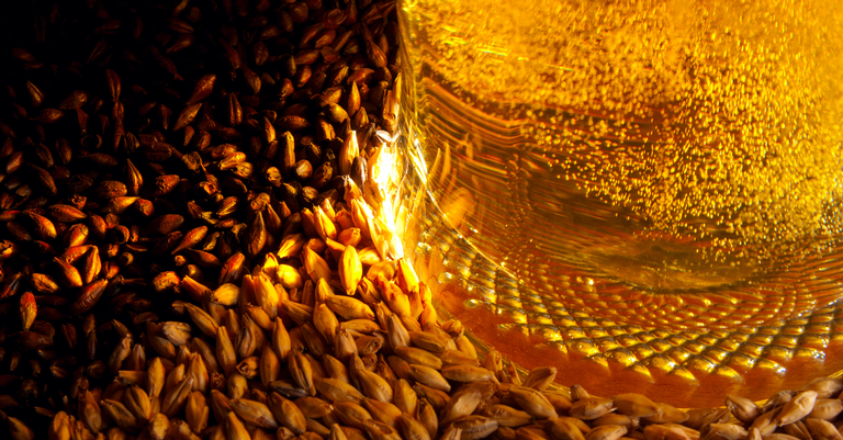 Povos neolíticos fabricavam cerveja na Europa Central há 6 mil anos, afirma estudo