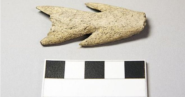 Ferramentas de mais de 6 000 anos são encontradas na Escócia