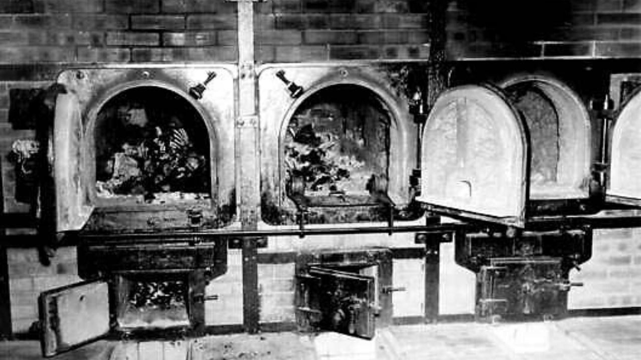 Os Fornos de Hitler: os horrores de Auschwitz a partir dos relatos de uma sobrevivente