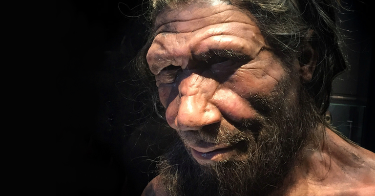 Neandertais tinham “super-respiração”