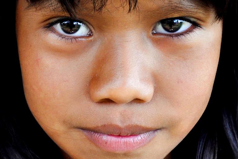 Luzia, o fóssil mais famoso do Brasil, não tinha nada de australiana, diz estudo