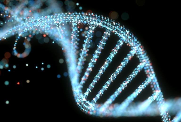 DNA mostra como mutações permitiram aos ancestrais dos incas viver nas montanhas
