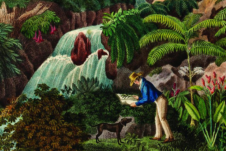 Livro apresenta fotos inéditas da viagem do naturalista Carl Martius ao Brasil