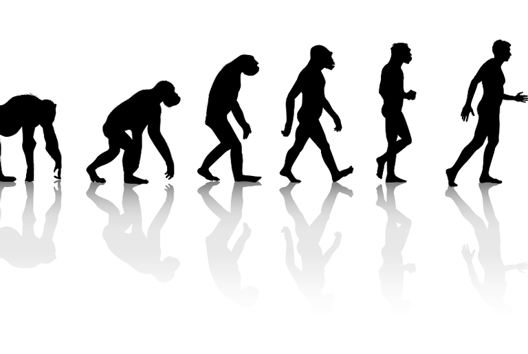 Pé Pequeno pertence a uma antiga espécie de humanos, dizem pesquisadores