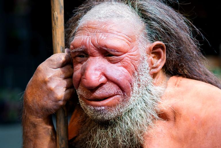 DNA neandertal raro deixa parte dos europeus com o crânio alongado
