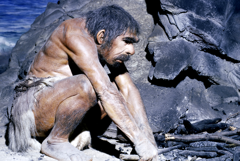 Pesquisadores acreditam que os neandertais comiam mais carne do que se imaginava