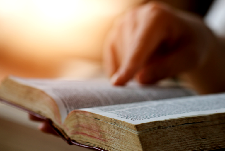 “O Livro da Bíblia” traz histórias sob nova perspectiva