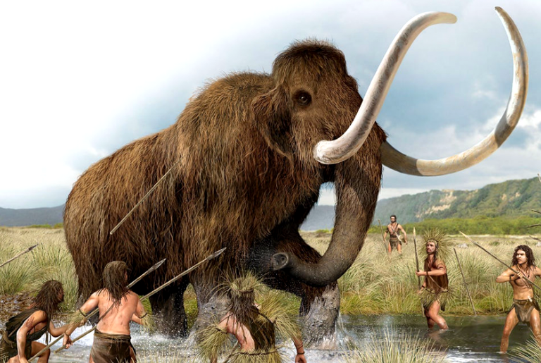Lança de 25 mil anos cravada em esqueleto de mamute é a primeira prova de que humanos os matavam com a própria força