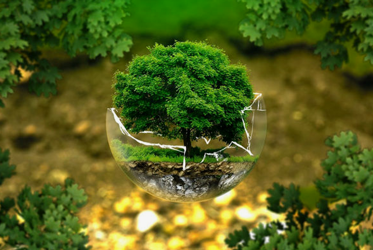 Como fazíamos sem proteção ambiental?