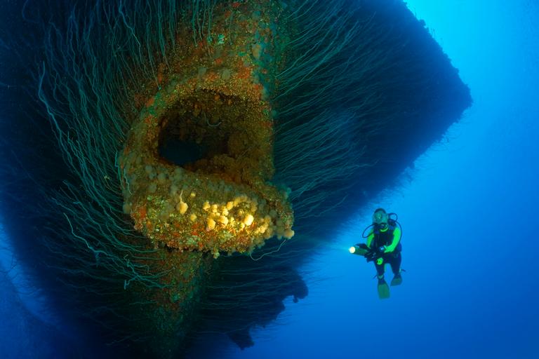 Acredite: há um navio da Segunda Guerra nesta foto