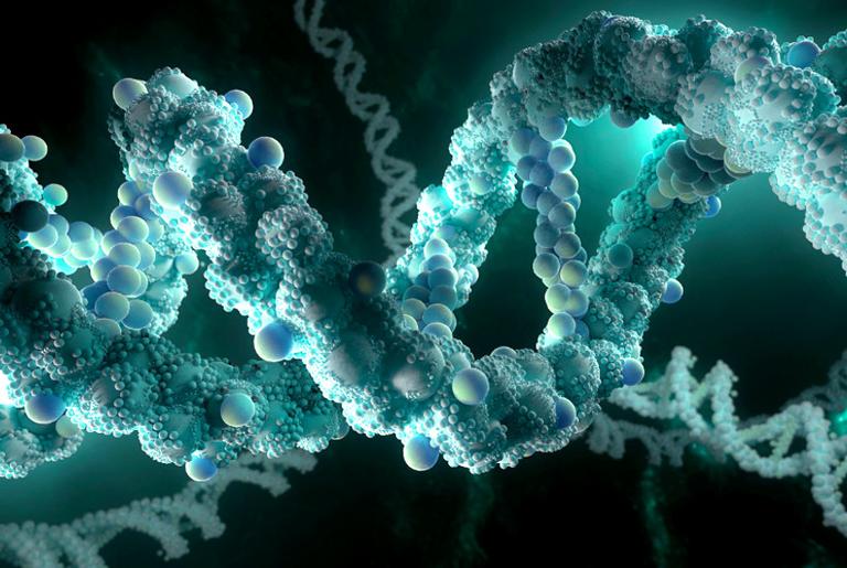 Geneticista afirma: Povo de Luzia veio da América do Norte