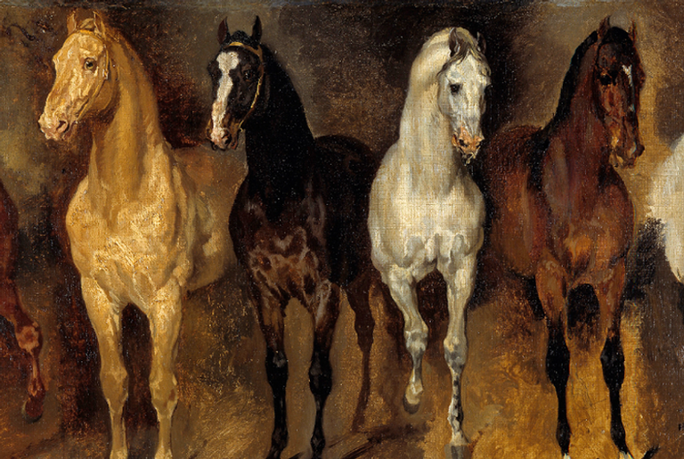 O cavalo e a humanidade: Como os equinos ajudaram na construção da história